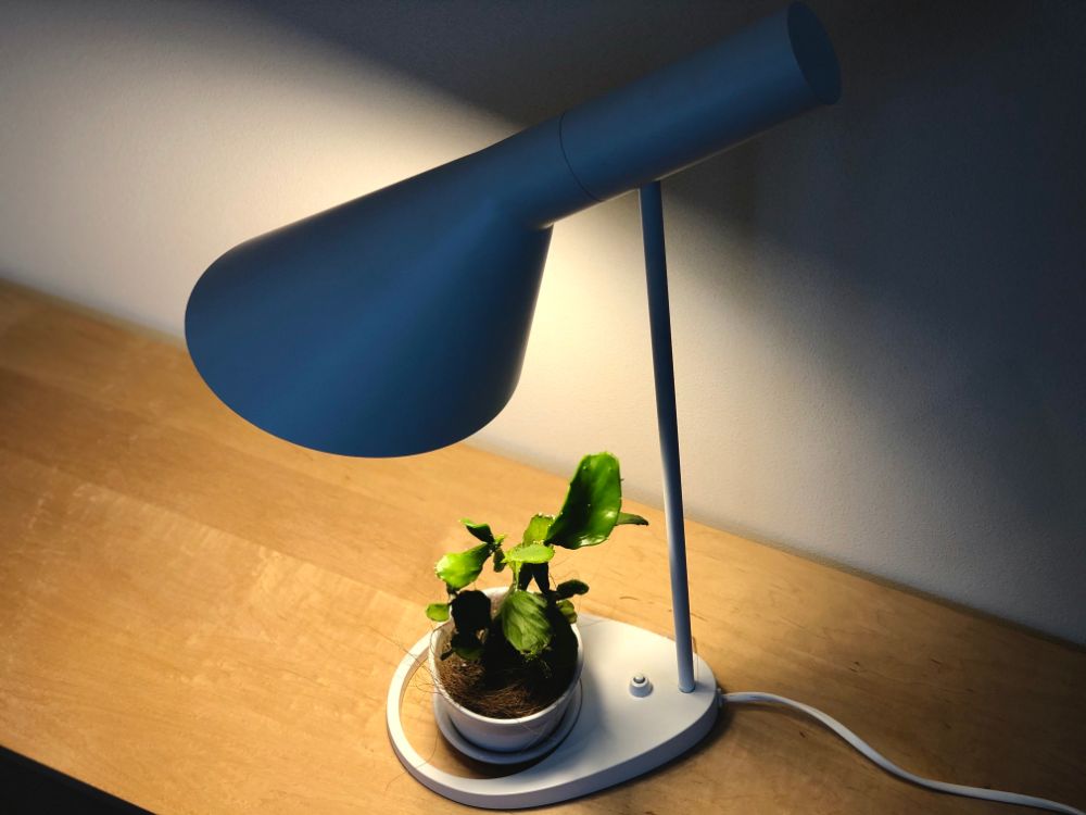 植物を照らす照明