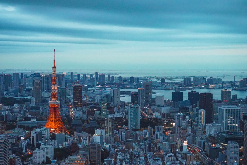 東京タワーの目立つ風景